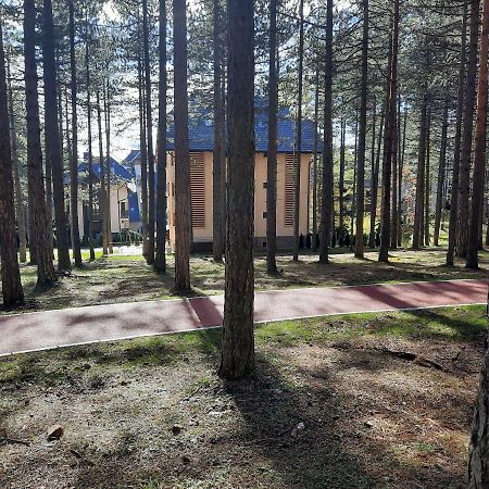 Zlatibor Mアパートメント エクステリア 写真